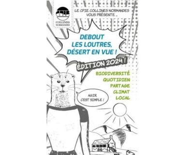 Un parasol végétal - Les cafés de la transition