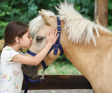 Equitation : Stage de Fevrier