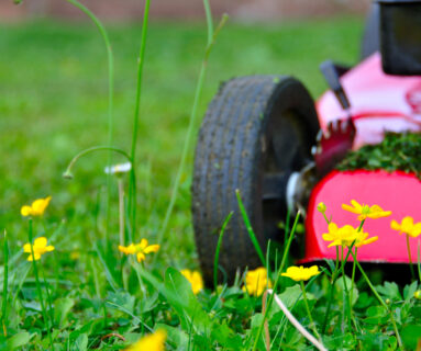 Travaux de bricolage et de jardinage : les horaires à respecter à Flers