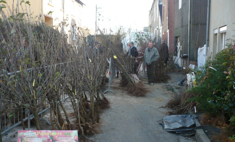 Foire-de-la-sainte-Catherine-credit-photo-Mairie-de-Briouze-tis-2