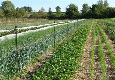 Un forum agricole le 22 avril à Caligny