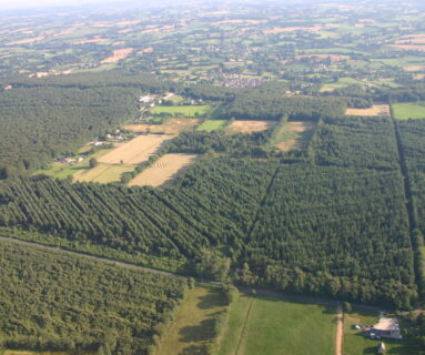 Un plan de gestion pour prendre soin durablement de la forêt de Halouze